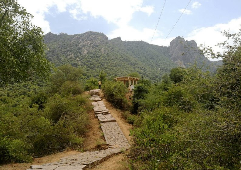Amirthi Zoological Park, Vellore, Tamil Nadu - Vushii.com Amirthi Zoological Park, Vellore, Tamil Nadu - Vushii.com